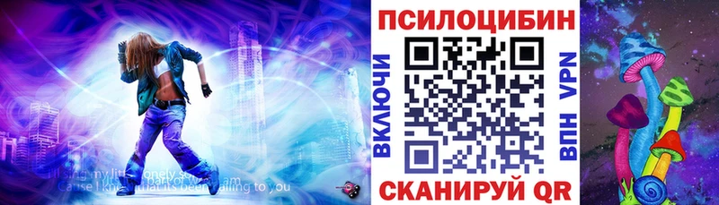 блэк спрут ссылка  Рыльск  Псилоцибиновые грибы GOLDEN TEACHER  цены  
